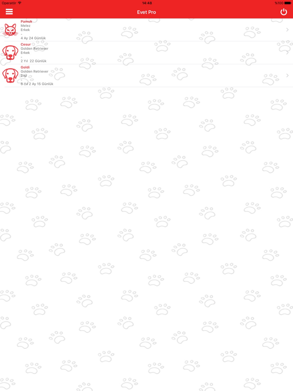 iPad screenshot