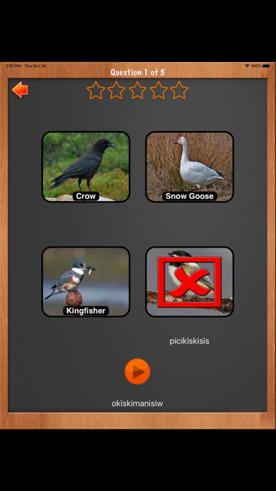 Screenshot #3 pour Learn ML Plains Cree