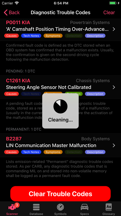 KIA OBD App Screenshot