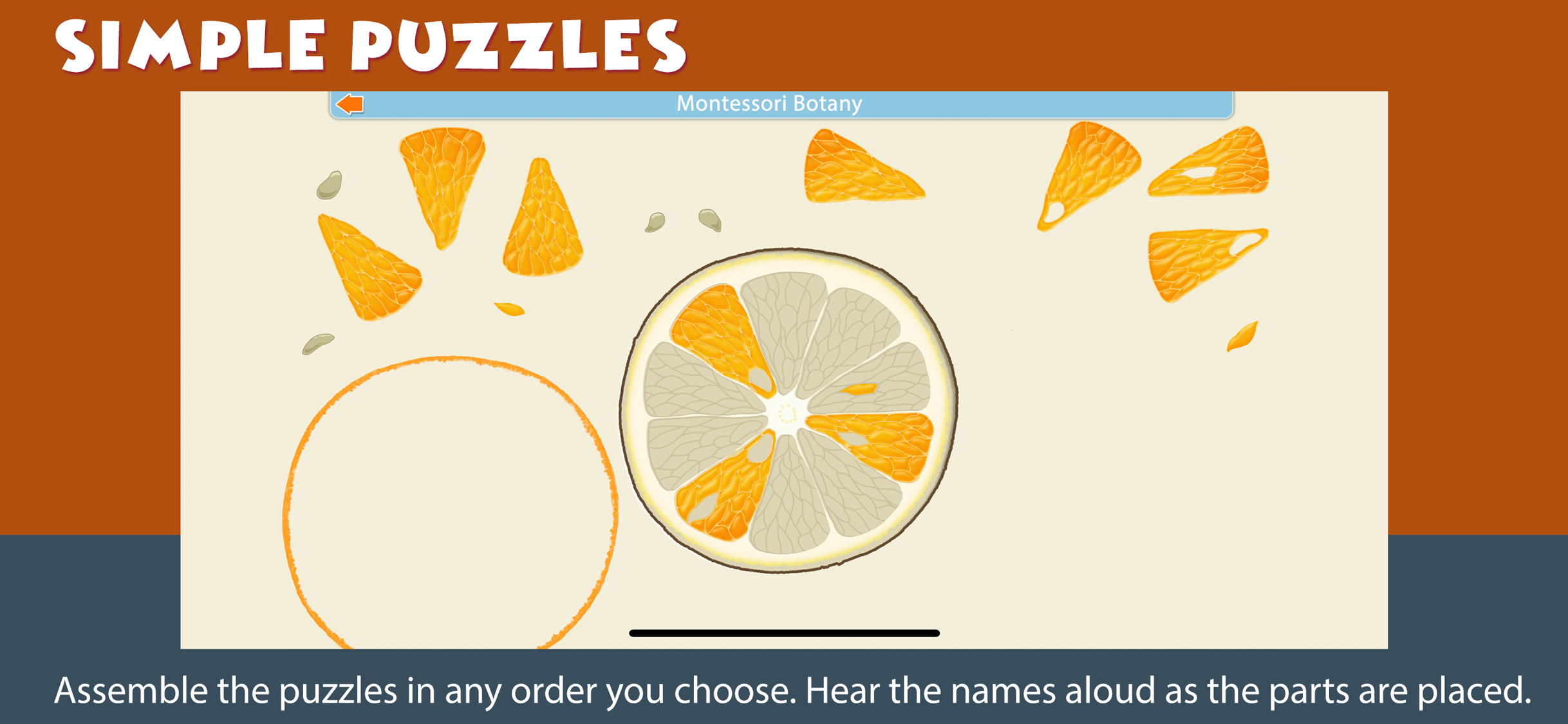 Montessori Parts of Fruits screenshot 5