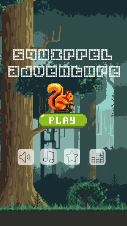 Squirrel flying adventures