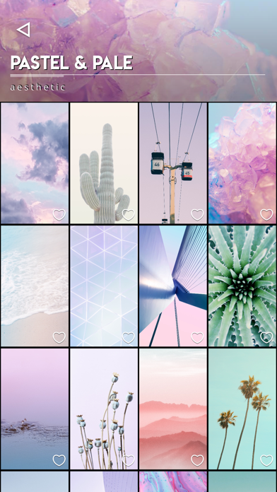 Kuvik Wallpapers iPhone screenshot 6 - Entertainment app