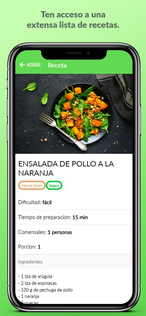 Nutrify - nutrify-app-healthy-recipe-screen