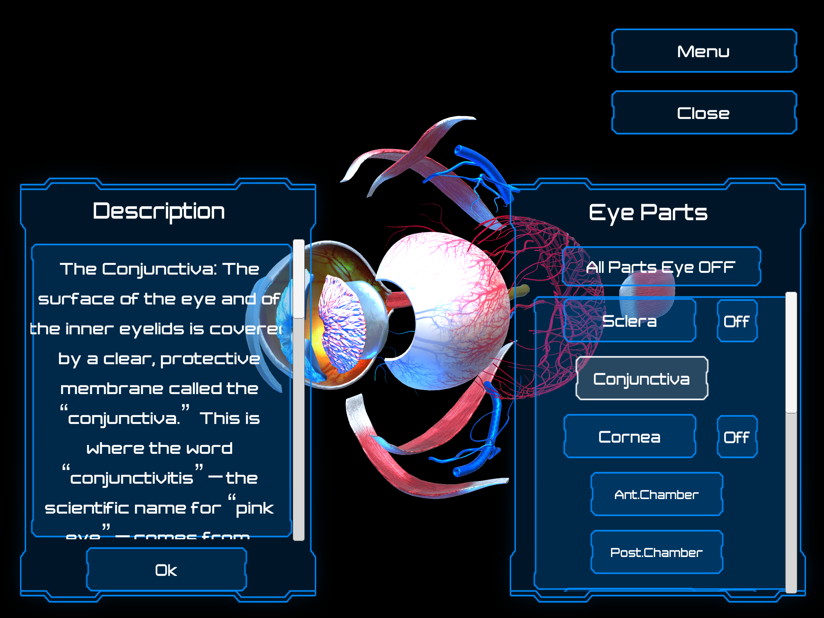 Anatomy Human Eye screenshot 4