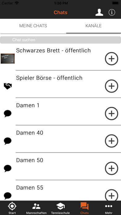 Tennisclub SW Bad Dürkheim Screenshot