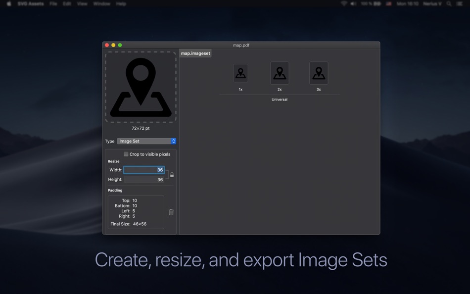 #2. SVG Assets – Icon Exporter (macOS) Podle: Nerius Vaskevicius