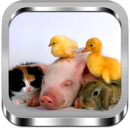 Jigsaw Puzzle Baby Animals icon