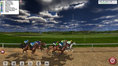 Starters Orders 7 Horse Racing Screenshot