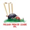 Pulgaon Premier League is an App where Ball by ball updates of all the matches are displayed