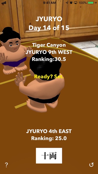 AR Sumo screenshot 4