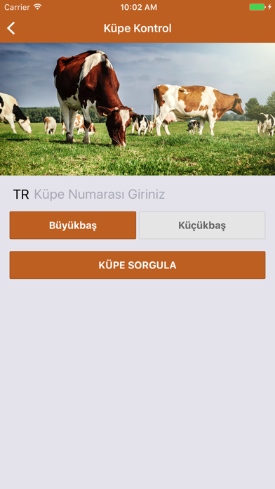 İBB Kurban Screenshot