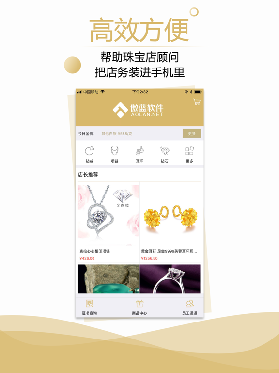 傲蓝珠宝销售管理软件 iPad screenshot