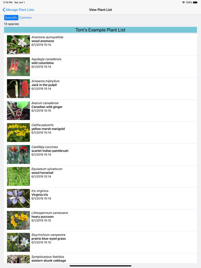 Wisconsin Wildflowers