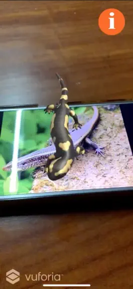 Game screenshot ThaiAnimal hack