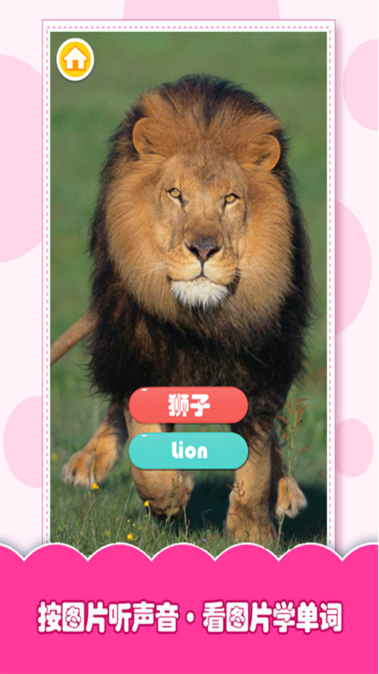#1. 认识动物-看图识物大全、学英语 (iOS) 作者: 龙超 孟
