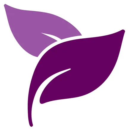 Robert Franz App Читы
