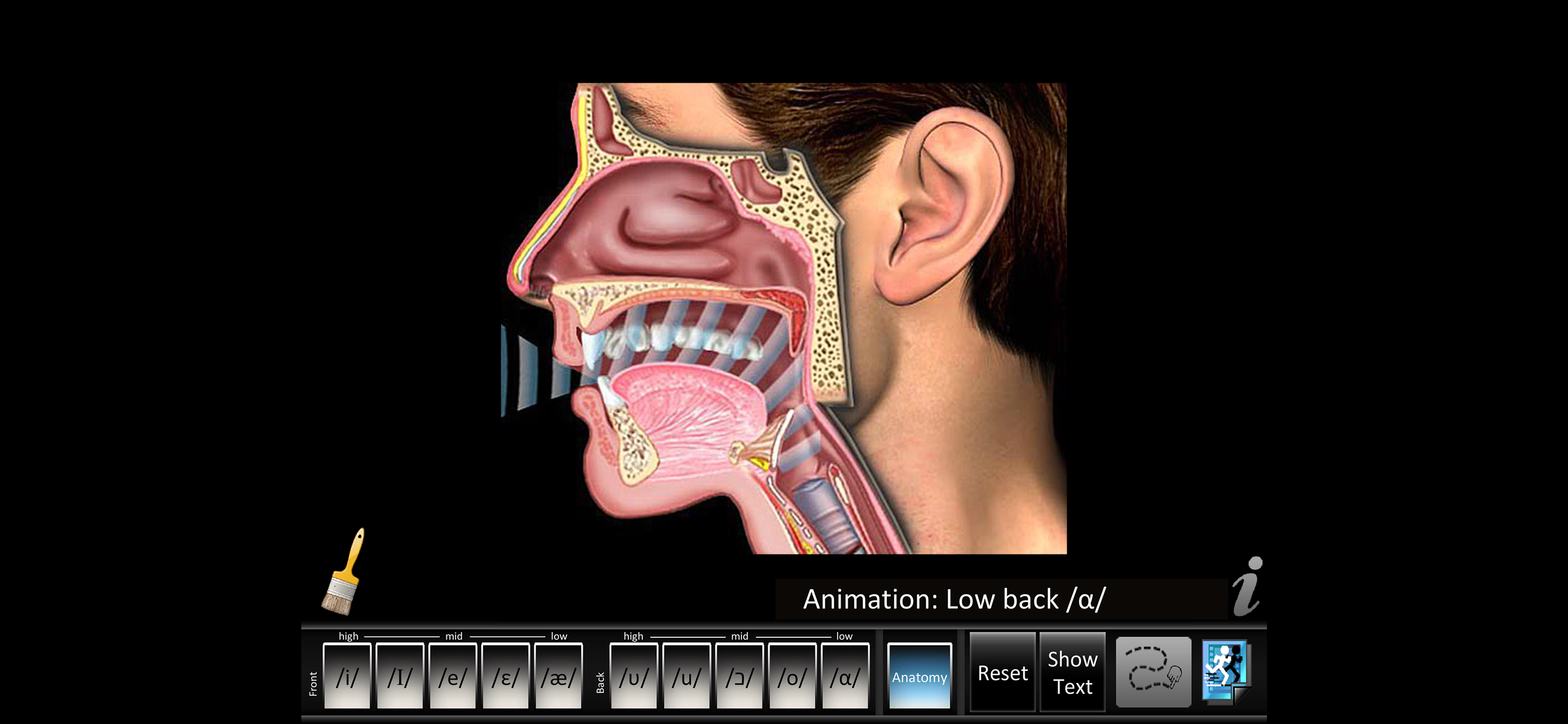 Vowels Front Back screenshot 4