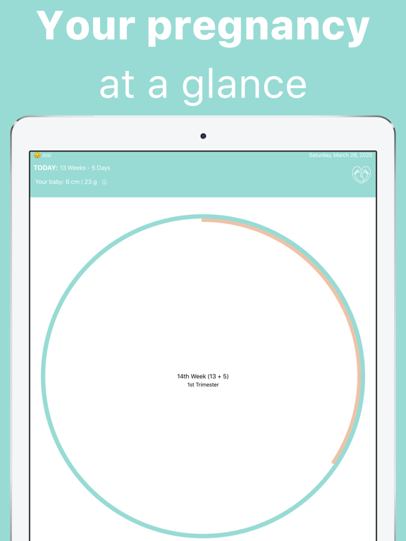 Pregnancy Week Tracker