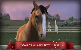 My Horse - Screenshot 1