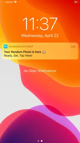 Game screenshot Random Photo Daily apk