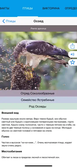 Game screenshot Экогид - Птицы apk