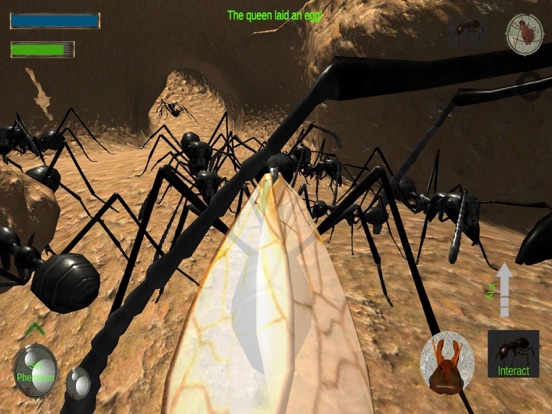 Screenshot #5 pour Ant Simulation 3D Full