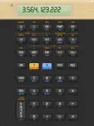 Vicinno Financial Calculator ipad bilder 2