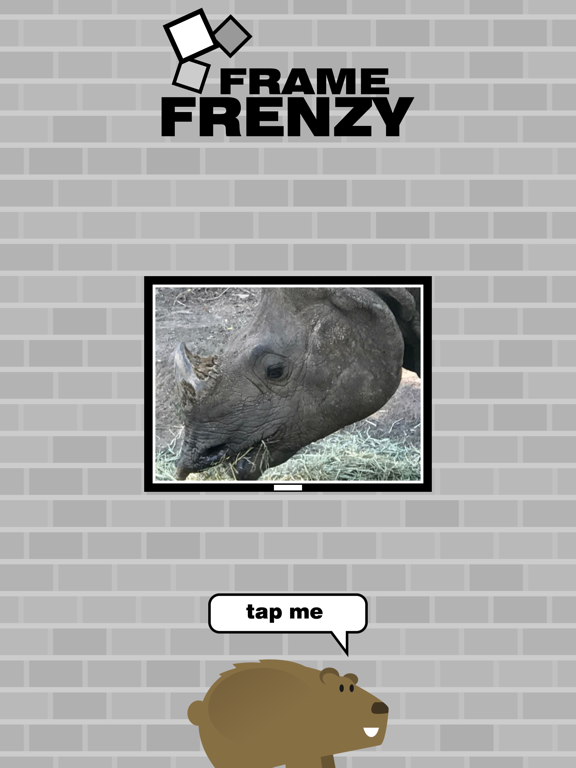 Screenshot #4 pour Frame Frenzy