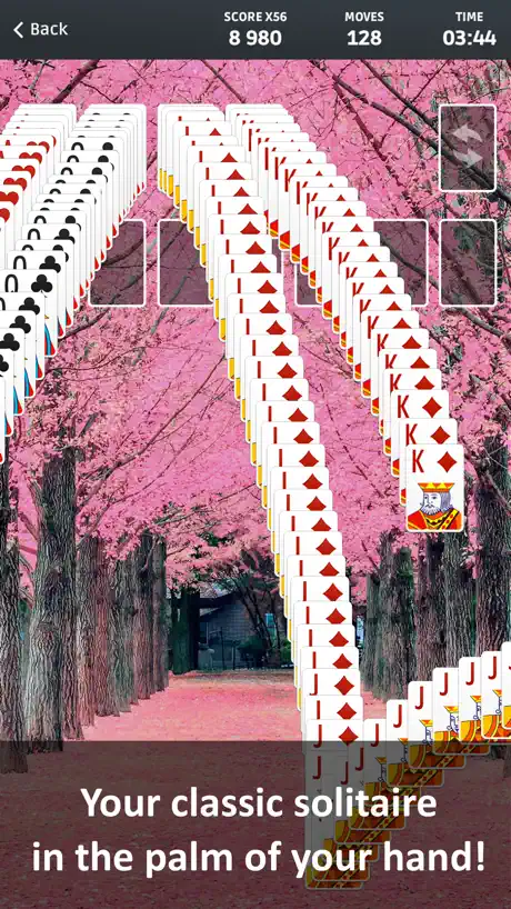 Solitaire ∙