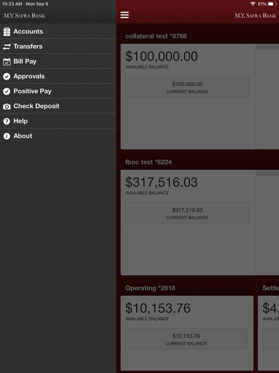 M.Y. Safra Business for iPad