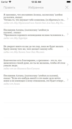 Скриншот Хадисы на iPhone 2