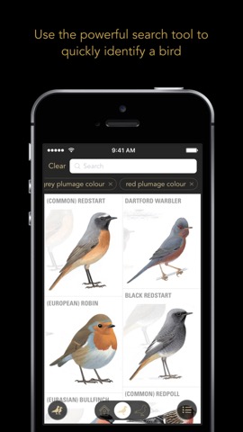 Collins British Bird Guideのおすすめ画像3