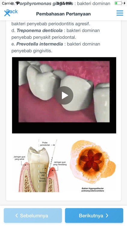 Neo Dokter Gigi : Latihan