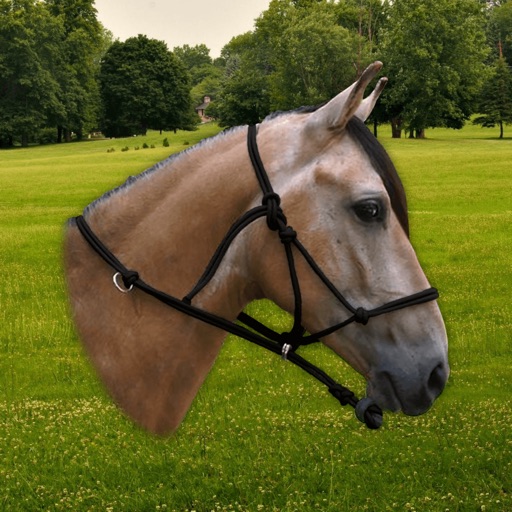 Neigh - Horse Sounds icon