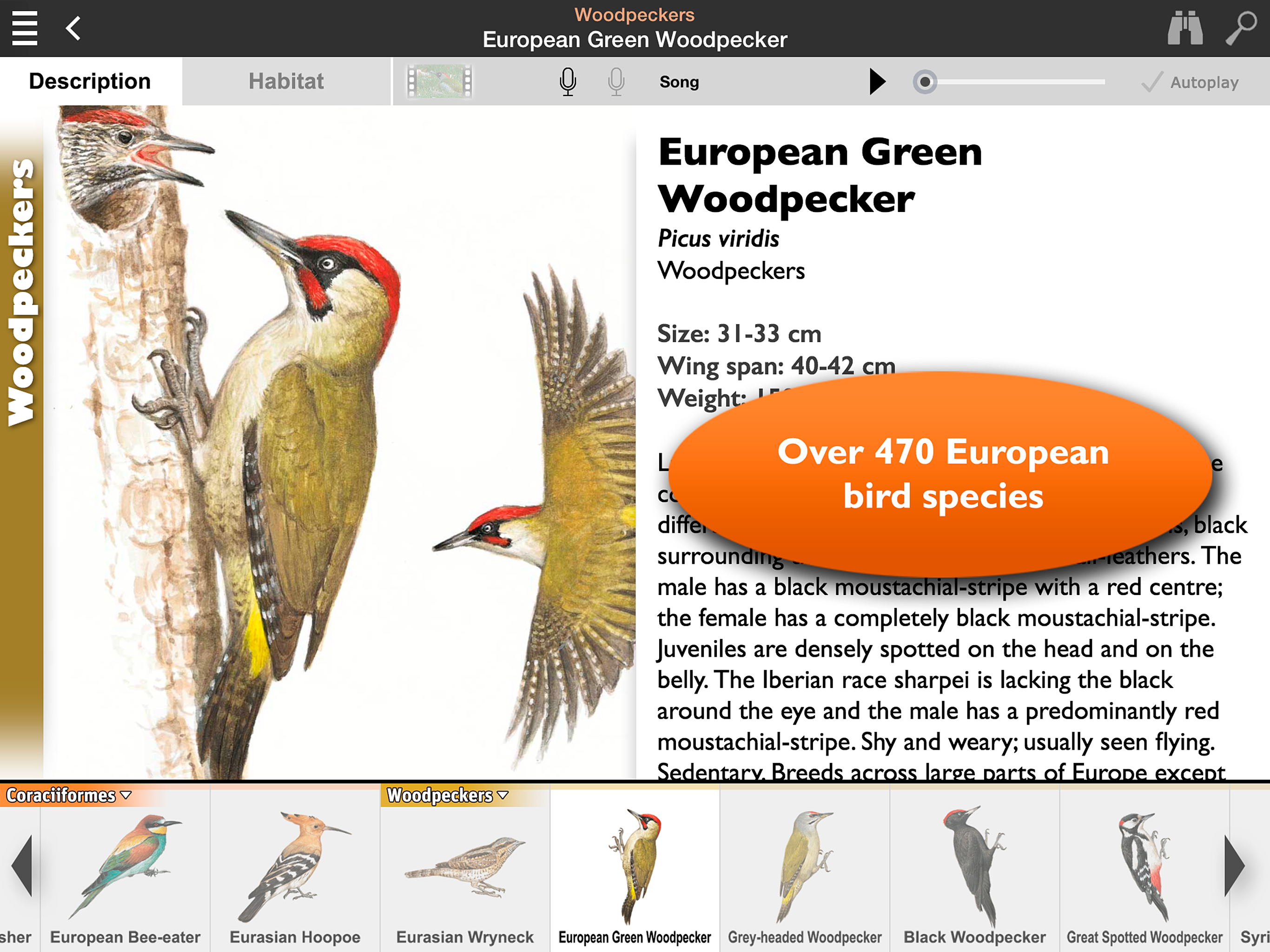 Birds of Europe Guide