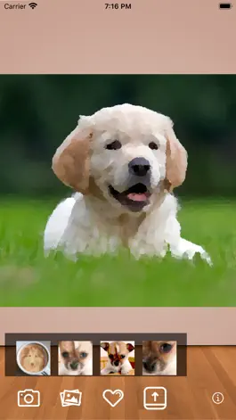 Game screenshot Pet Camera: Great Pet Photos mod apk