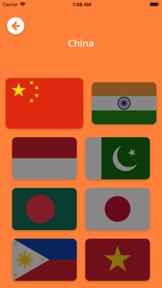 Flags 4 Fun screenshot