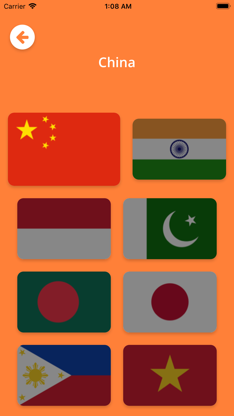 Flags 4 Fun screenshot 5
