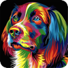 Image Splash sur PC