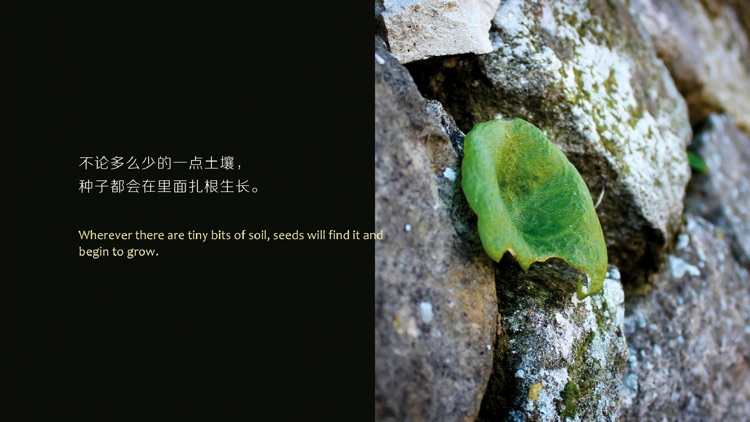 土壤出现了 screenshot-3