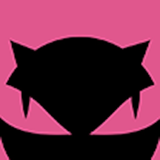 玄猫行车记录仪