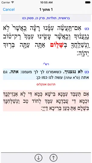 Esh Chumash אש חומש iPhone Screenshot 4