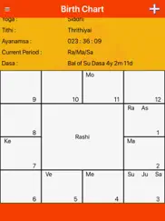 kundali-birthchart айпад изображения 3