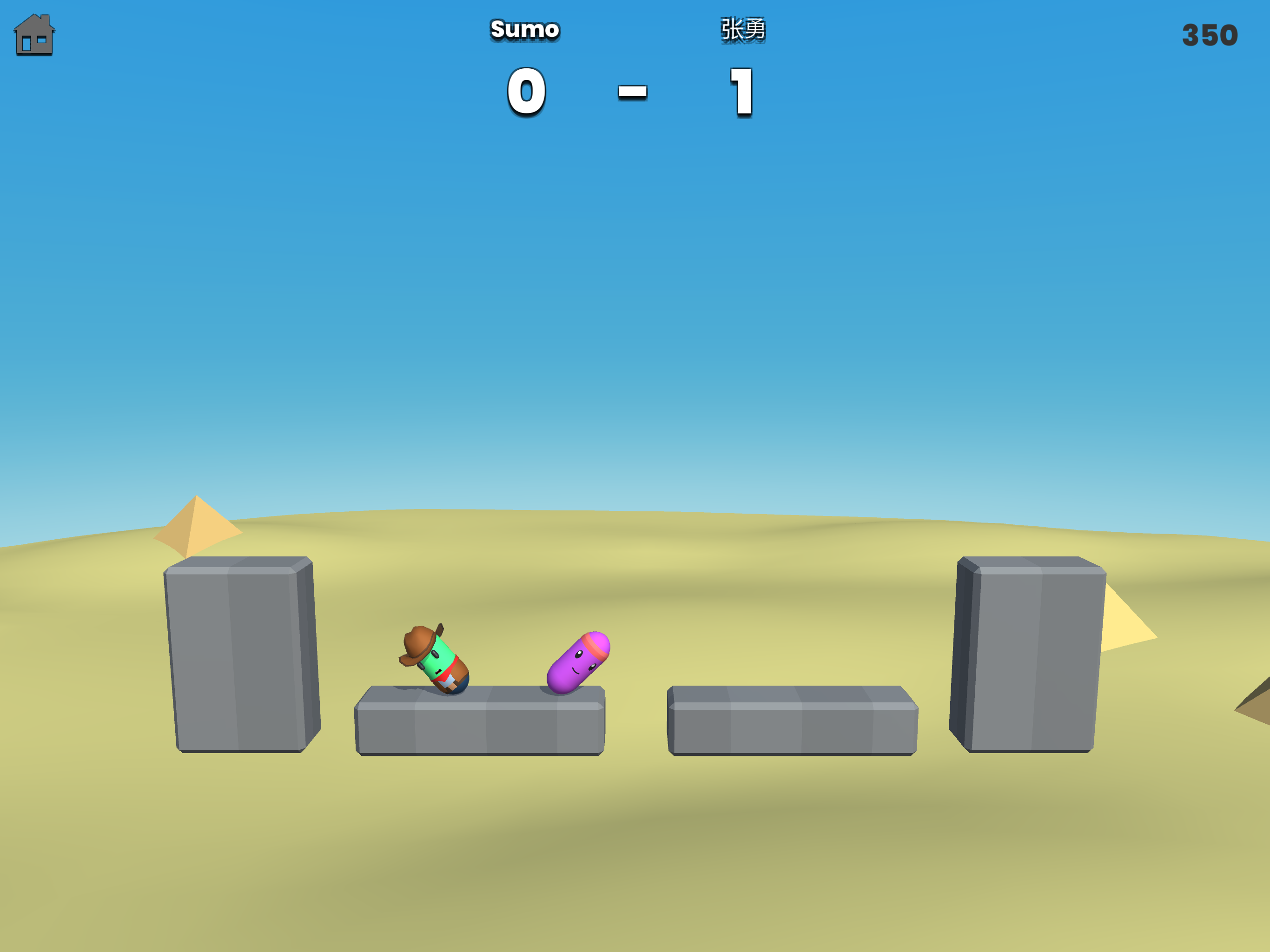 Sumo 1 vs 1