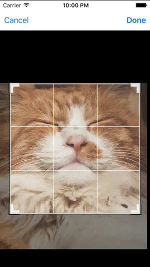 Fisheye Magick screenshot 1