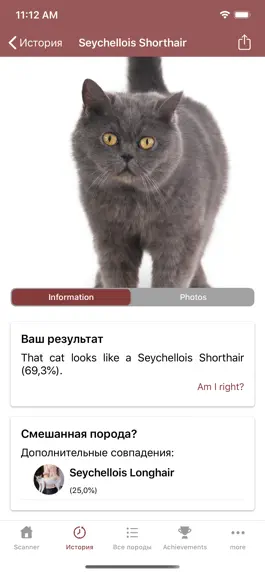 Game screenshot Cat Scanner hack