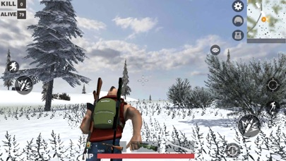 Polar Survival Screenshot