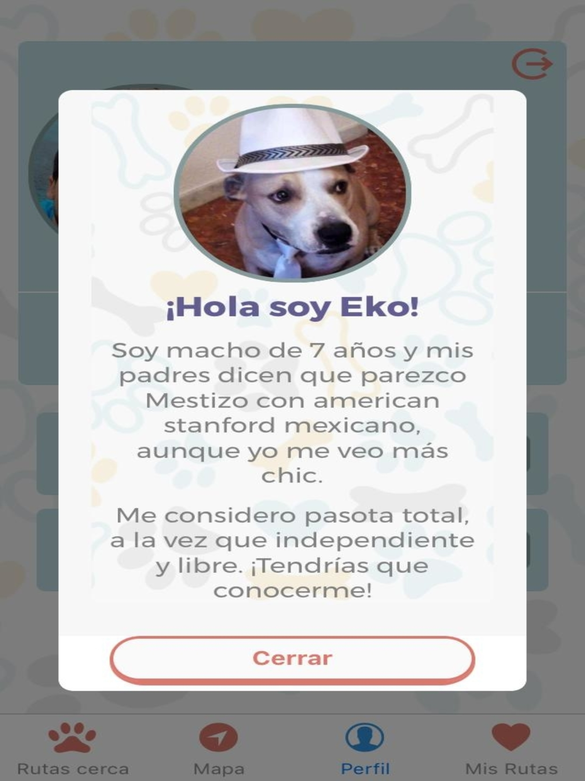 Ruta Canina + screenshot 10
