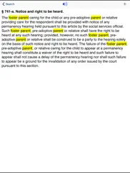 ny family court act 2025 ipad images 3