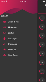 Al Quran in Urdu screenshot